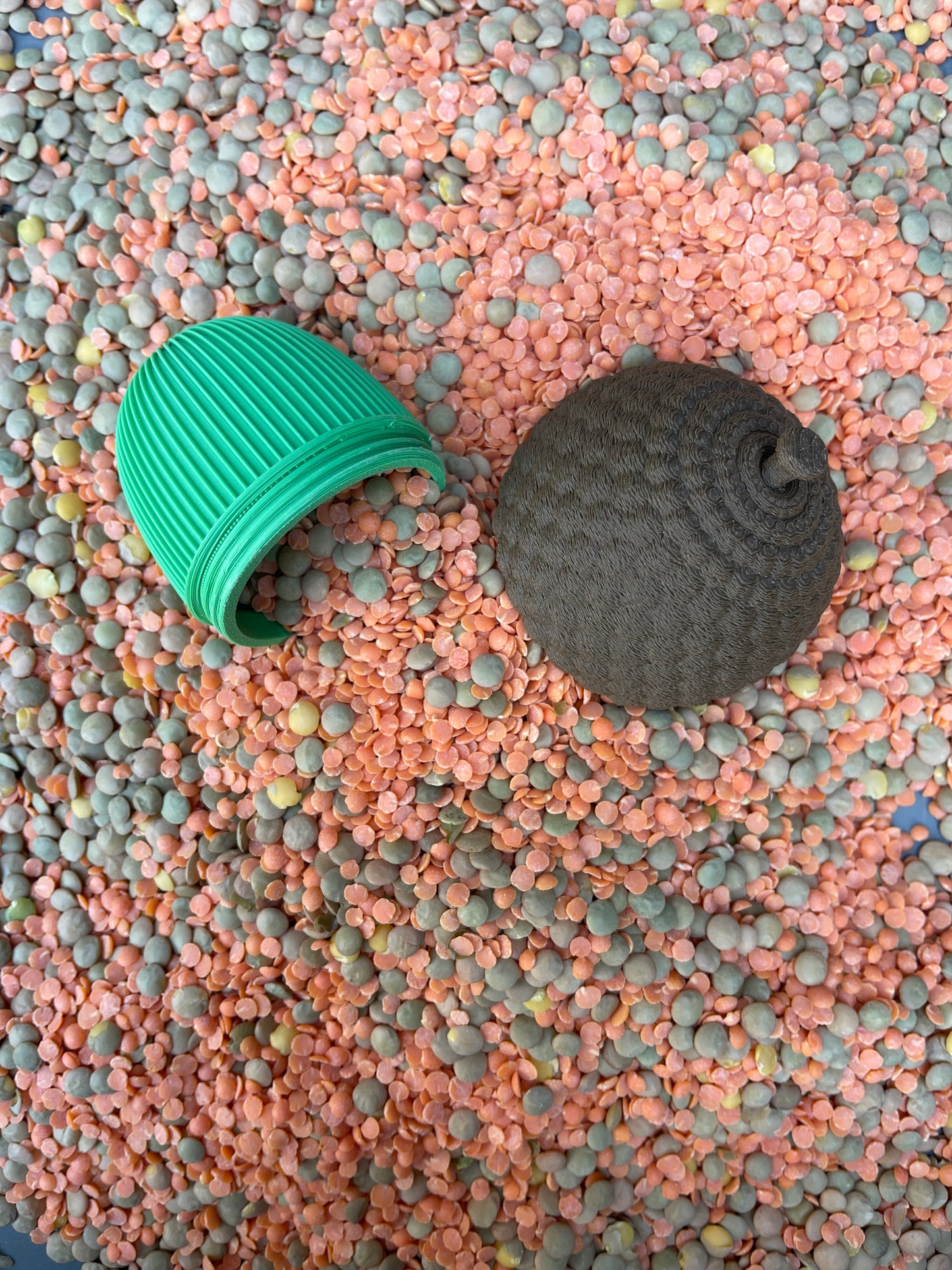 Shake-it eikeltje groen
